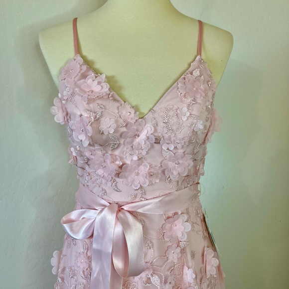 Pear Culture Princess Gown - Picture 4 of 10